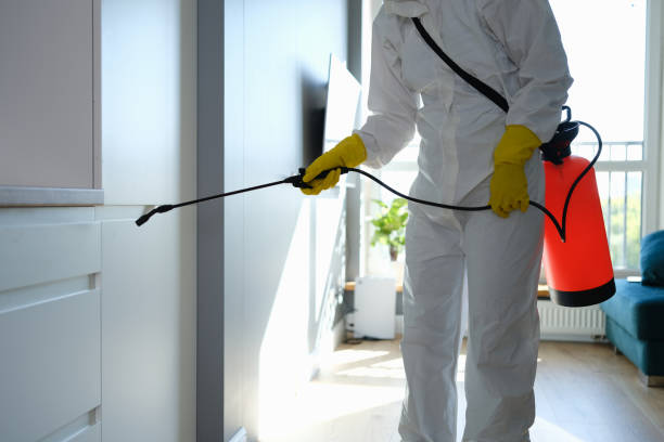 Best Commercial Mold Remediation in Francisville, KY